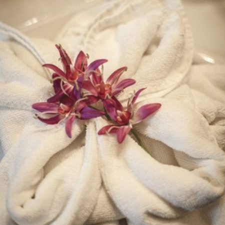 Posada Cicero: flores y toallas